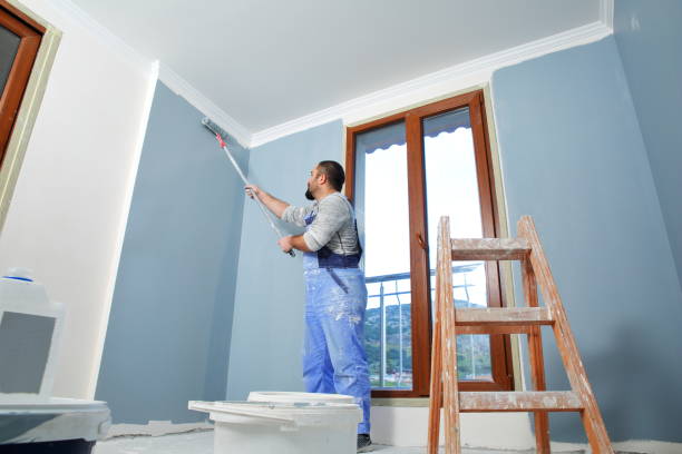 Best Emergency Mold Remediation  in Taylor, TX