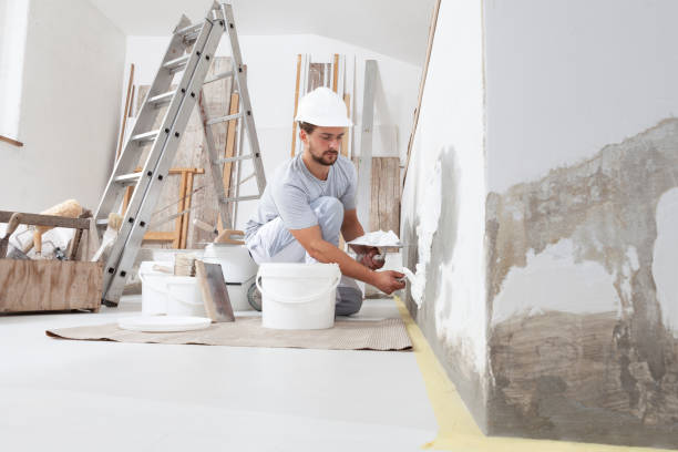 Best Basement Mold Removal  in Taylor, TX