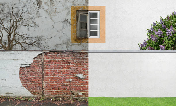 Mold Odor Removal Services in Taylor, TX