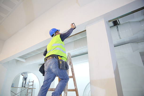 Best Water Damage & Mold Remediation  in Taylor, TX